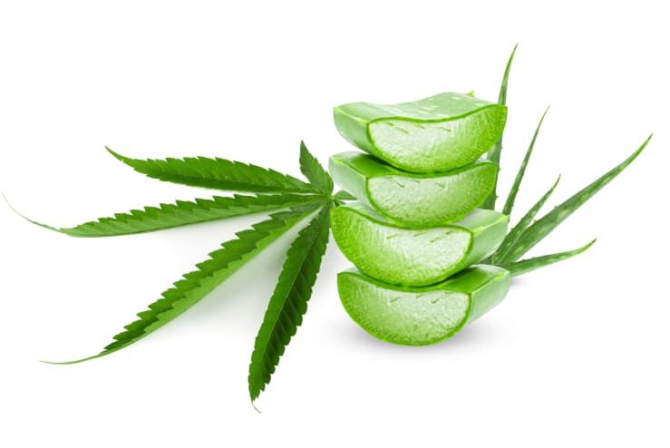 Recupera tu bienestar de forma natural